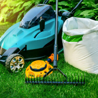 10 easy lawn care tips for a lush yard